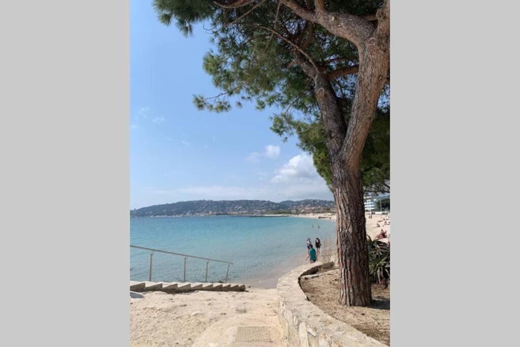 Juan Les Pins Joli T2 Parking Inclus! Apartment Antibes Luaran gambar